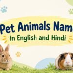 Pet Animals Name in English and Hindi