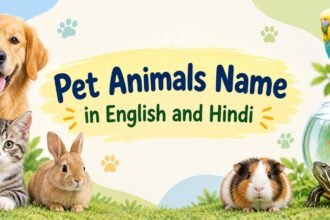 Pet Animals Name in English and Hindi