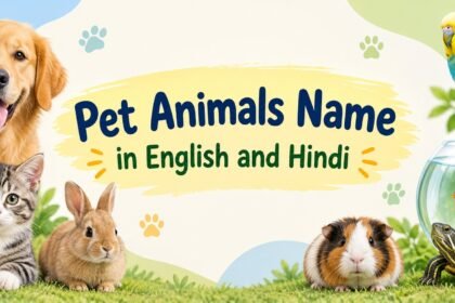 Pet Animals Name in English and Hindi